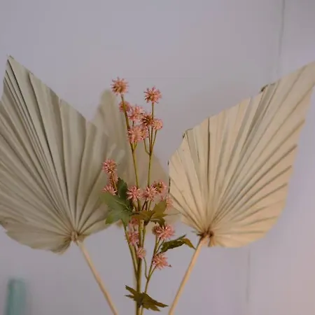 شقة Hyper Centre - Magnifique روان