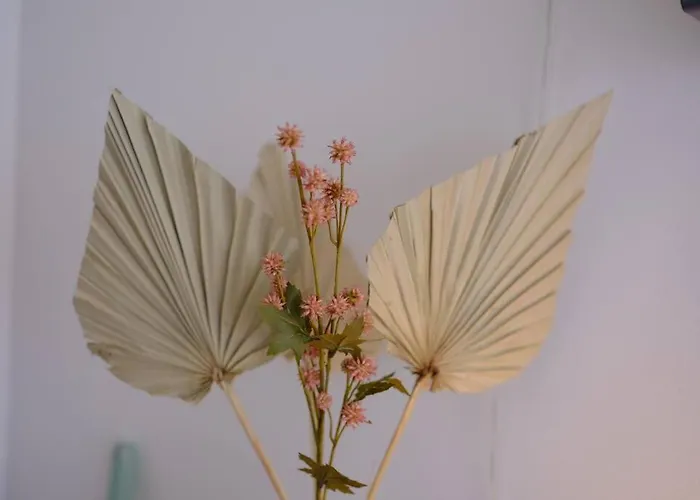 شقة Hyper Centre - Magnifique روان